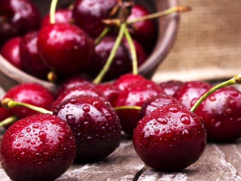 Вишня купить саженцы из питомника в Феодосии